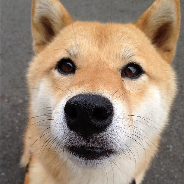 AIYOUXI.COM-列支敦士登遇强劲对手，晋级泡影，列支敦士登知乎