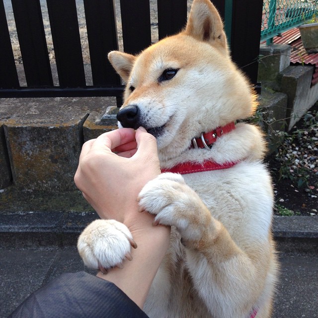 塞内加尔男足在巴黎奥运会上获得银牌，创历史，奥运会塞内加尔出场