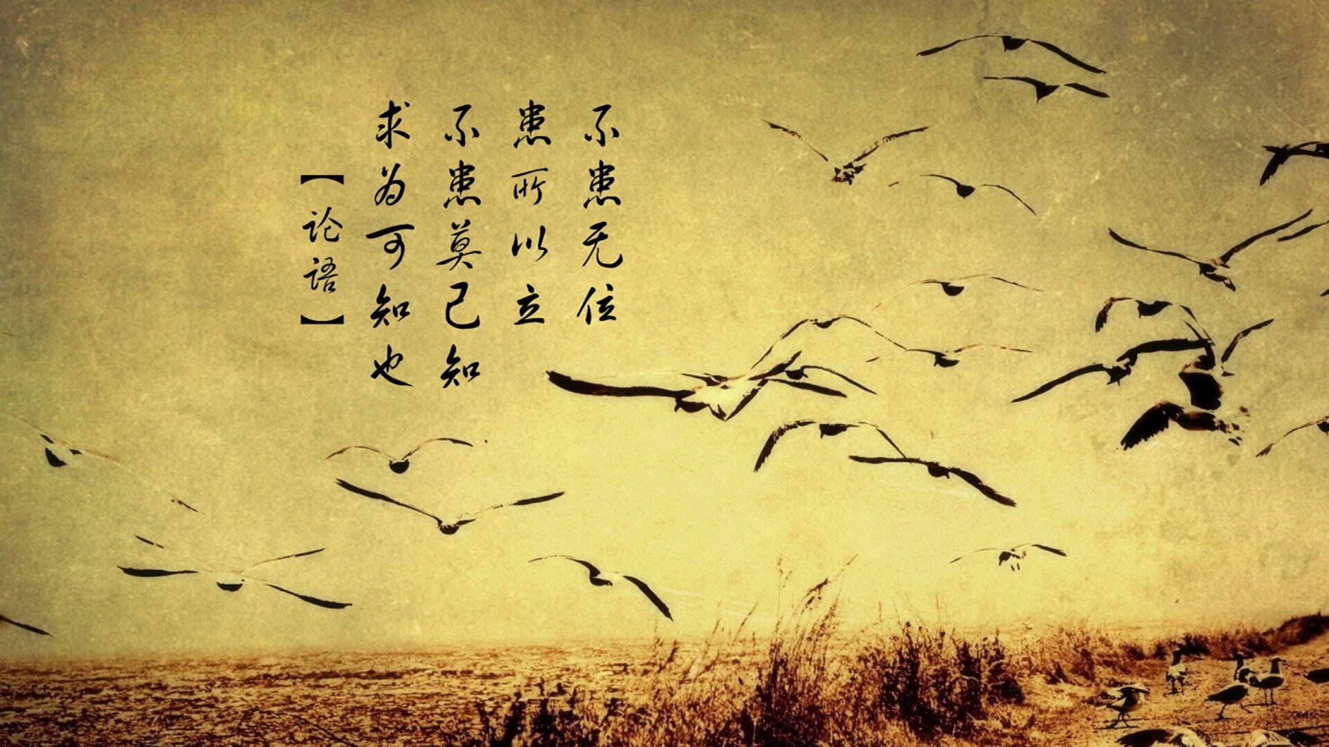 爱游戏综合娱乐-布莱克本高位压迫成效显著，蓝白军团冲击升级，布莱克本ds