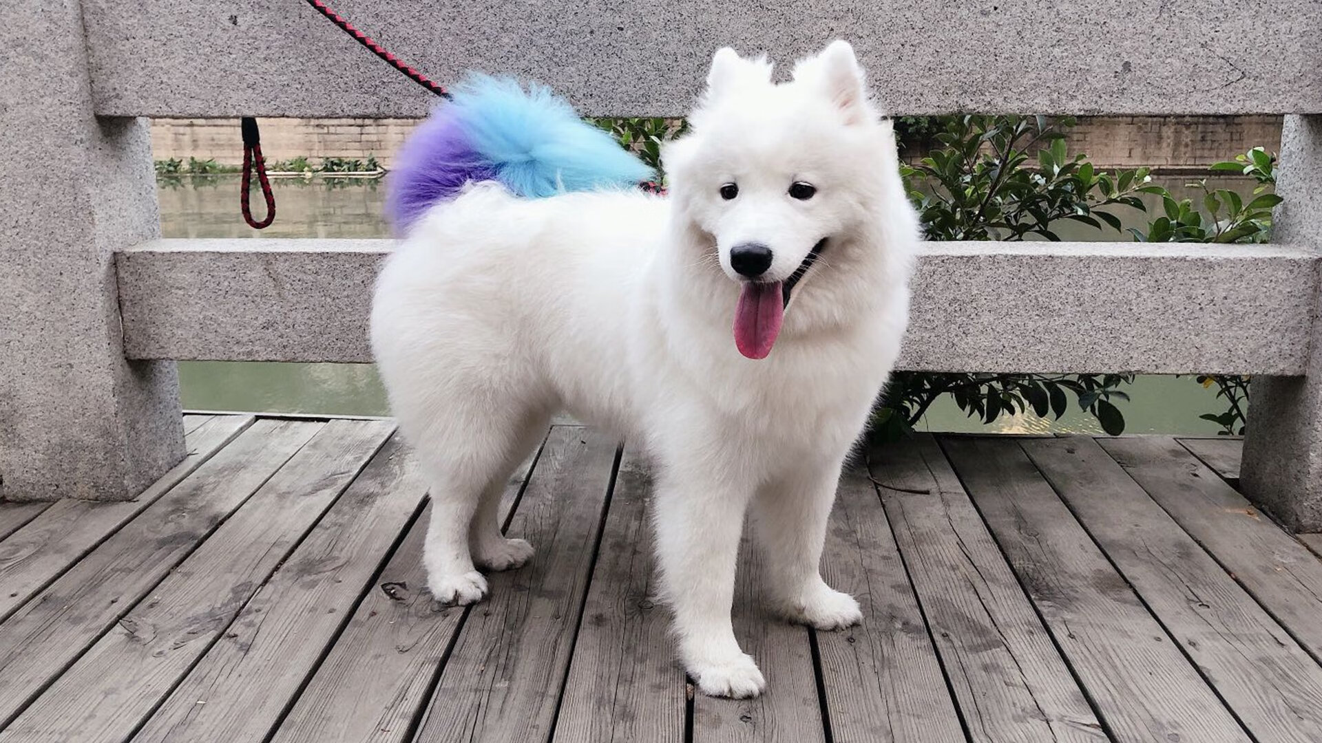 托尔去客场取胜，展现出强队的气质，托尔介绍