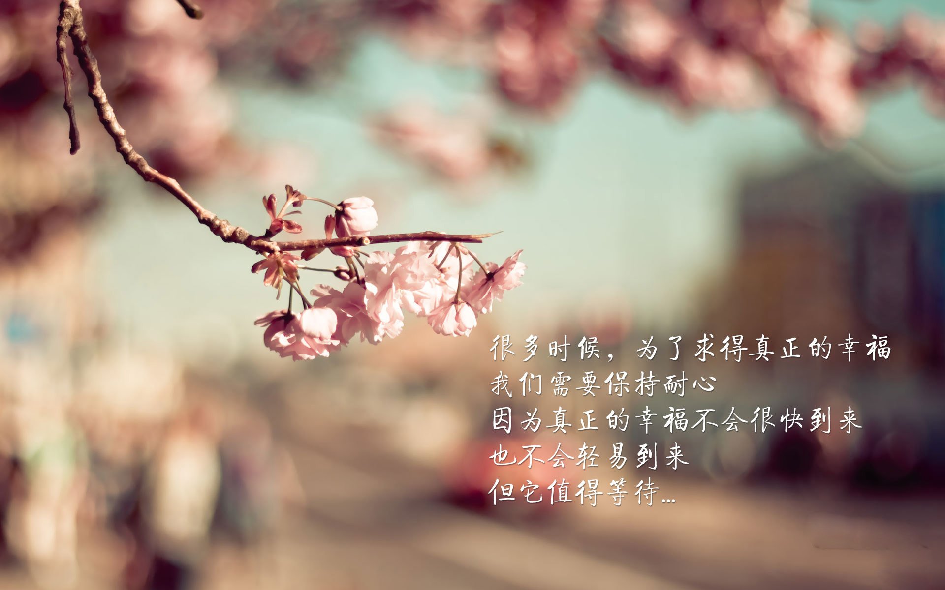 瑞典战队 Alliance 与丹麦战队 Fnatic 共同举办线上赛事，丹麦瑞典比赛