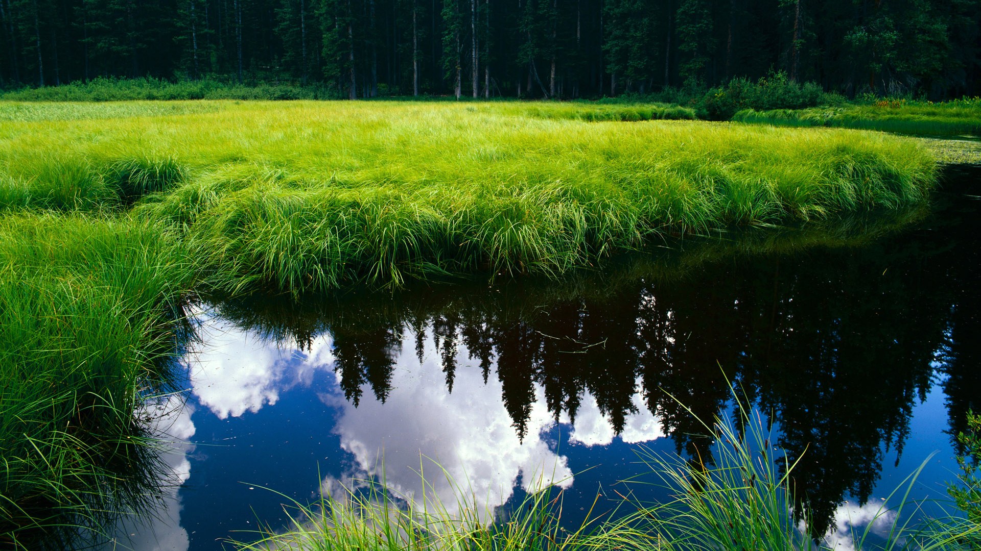 诺丁汉森林前锋连战连捷，城市地标期待爆发，诺丁汉森林新球场