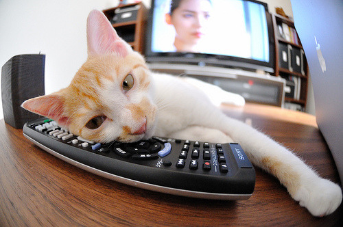 中国篮球职业联赛赛事运营风险管理研究,篮球赛事运营方案