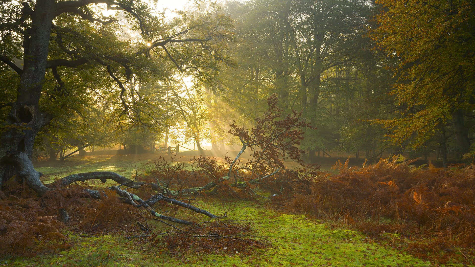 中国足球年度高强度对抗回合汇总,中国足球队胜负