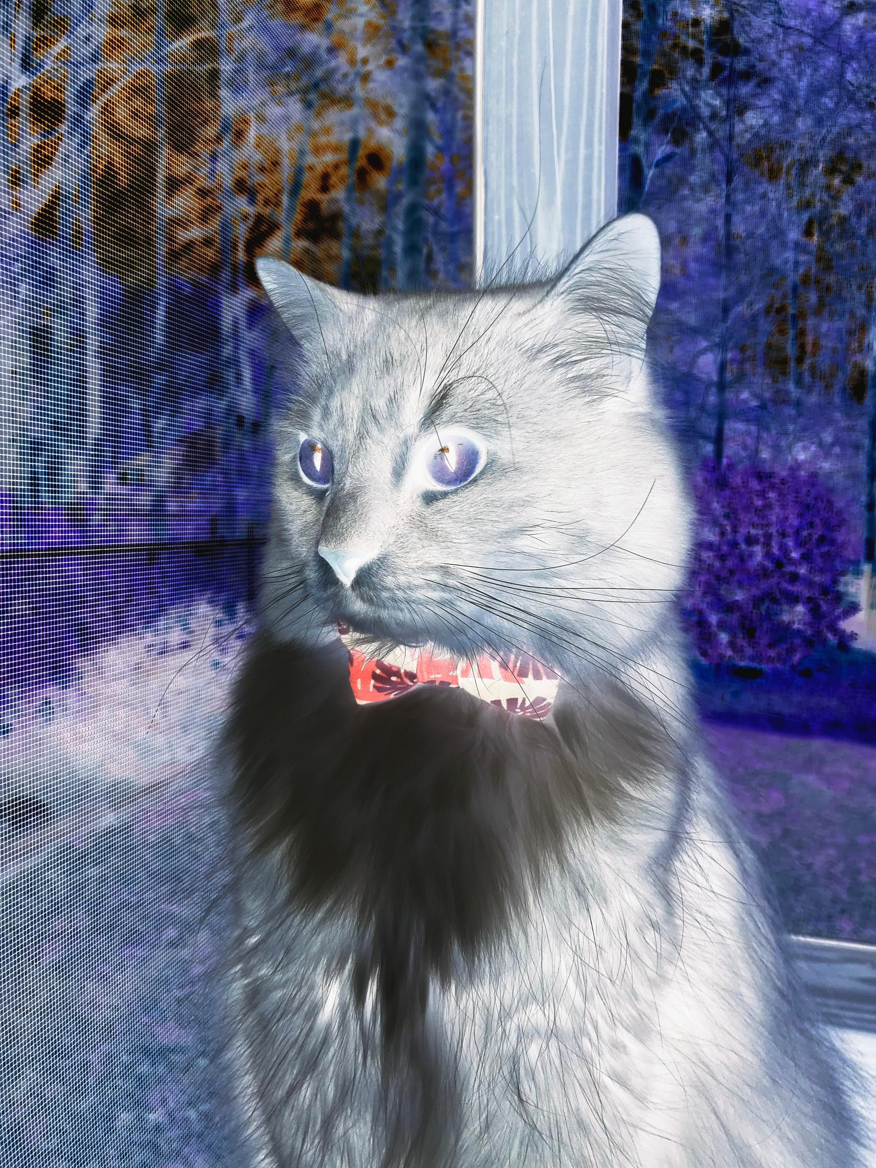 中国青少年篮球发展政策实施效果评估，青少年篮球发展现状及对策研究