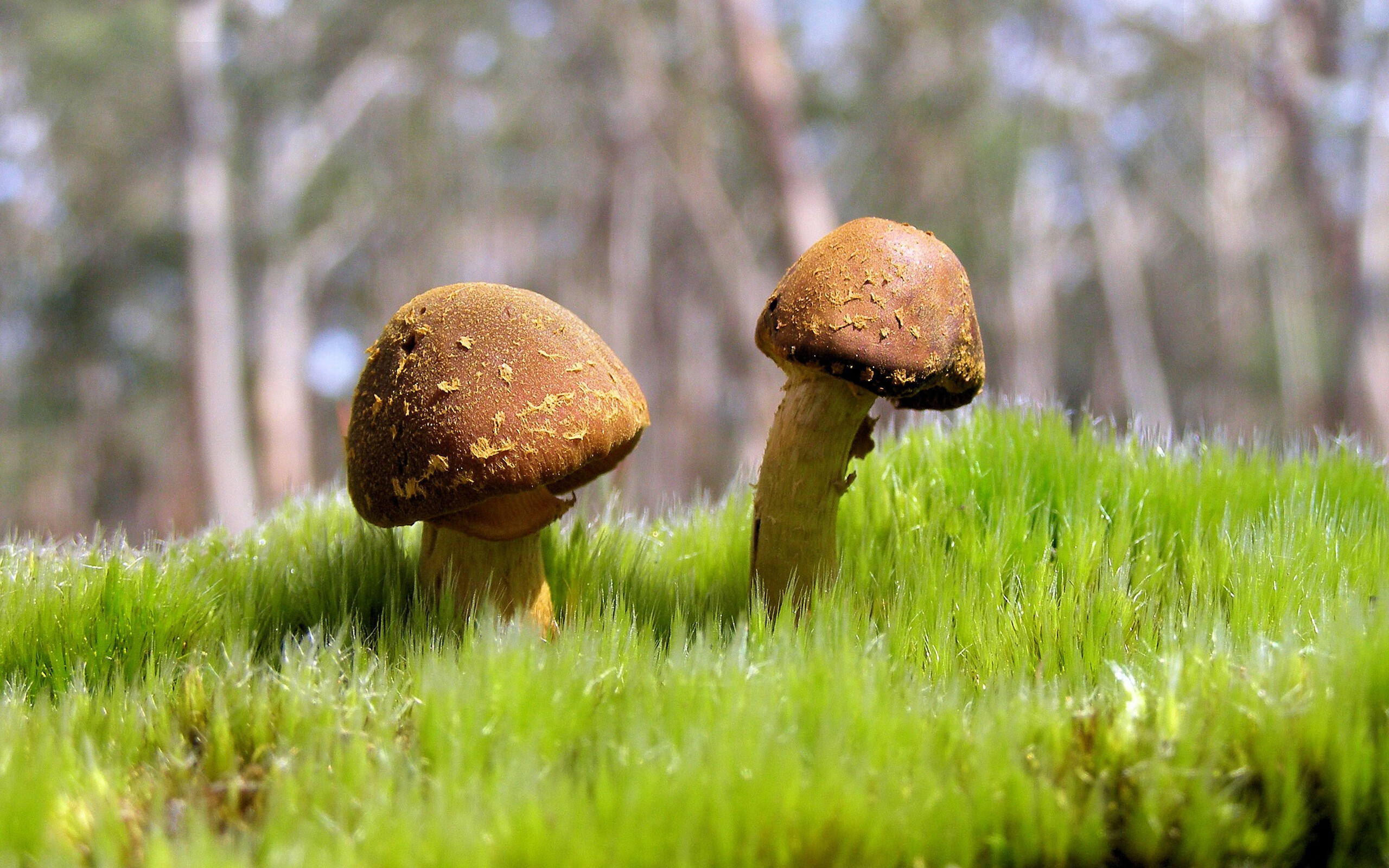 篮球专项技能动作捕捉技术创新应用，篮球抓拍技巧