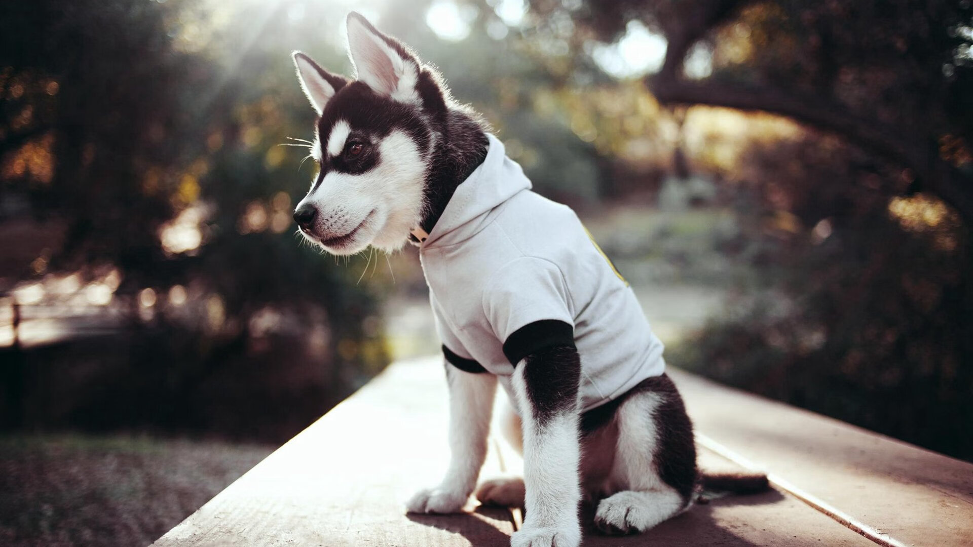 篮球比赛中战术变化对比赛结果影响的实证分析，篮球战术分析怎么写