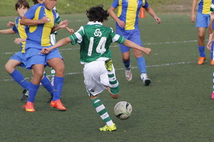 爱游戏体育官方网站-体育新闻中心发布体育内容原创度评估智能工具，原创体育sports