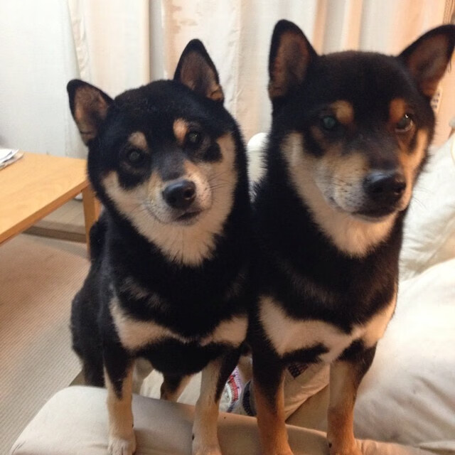 爱游戏中国官方登录入口网站-体育明星出书分享成长经历引共鸣，体育明星及其成长经历