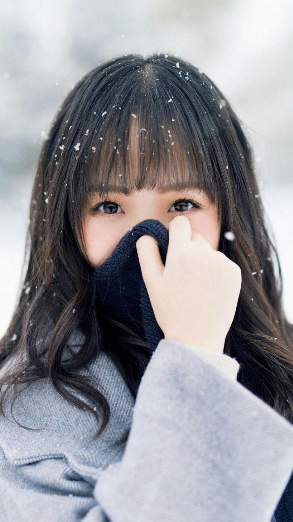 波兰队赛制分析：如何在赛制中应对强敌的挑战，波兰联赛水平