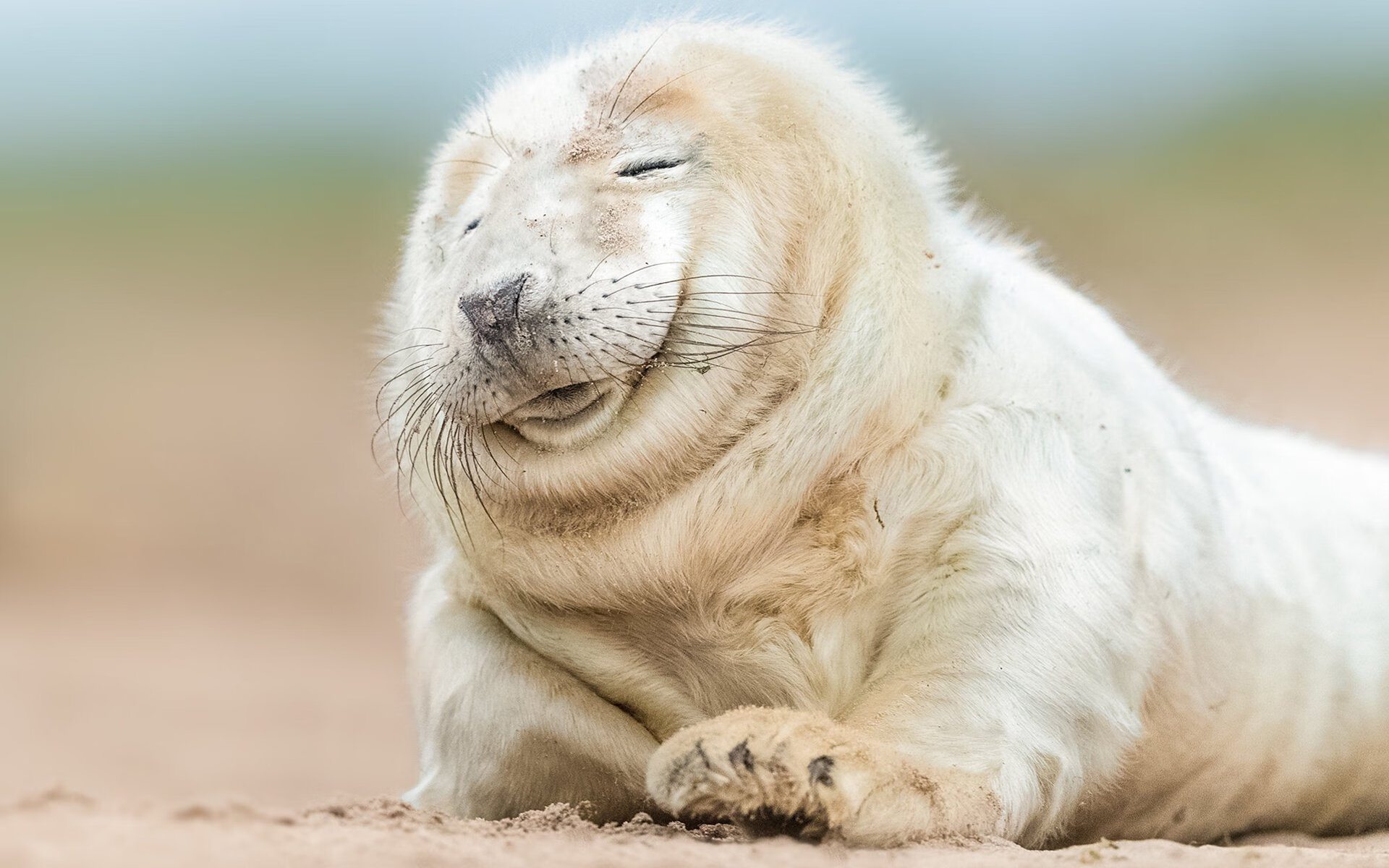 球员是否能通过节奏改变自身投篮手感，投篮节奏训练