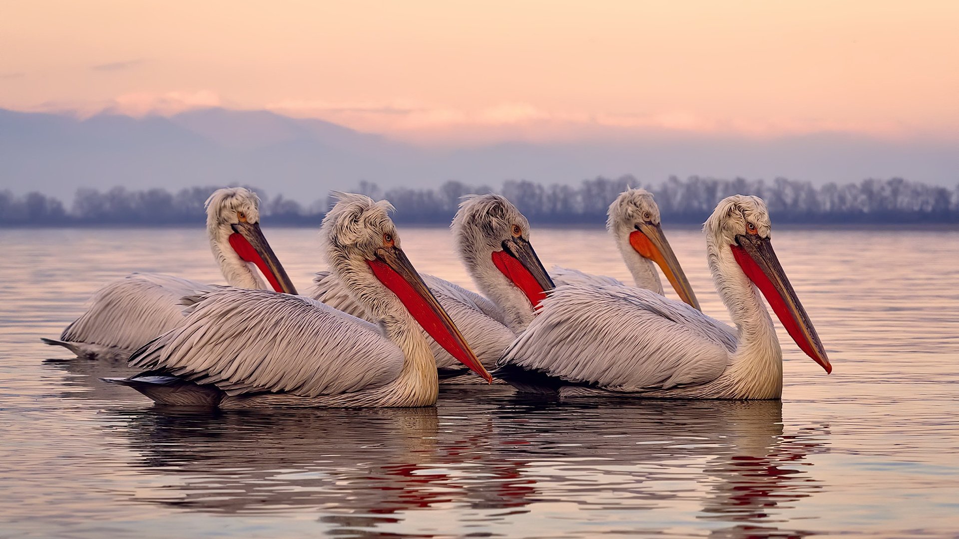 联盟中最被低估的防守球员名单，联盟防守效率球队排名