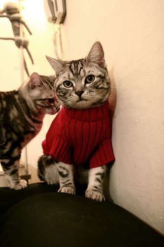 爱游戏娱乐网址-伤愈复出的球员逐步找回状态逐场提升比赛节奏与技术运用，球员赛后恢复