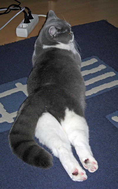 威少展现组织能力助队完成逆转，威少助攻能力