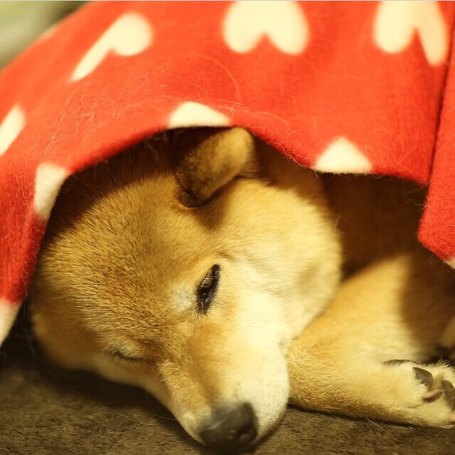 意甲联赛中的新兴战术理念,意甲新规则