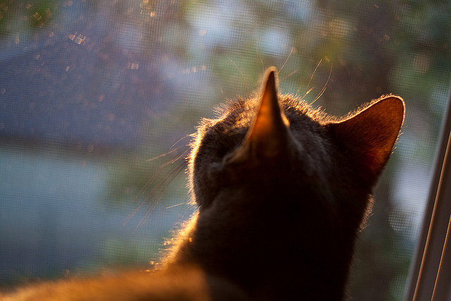 新赛季赛程正式公布多项焦点对决引发媒体提前关注,新赛季比赛