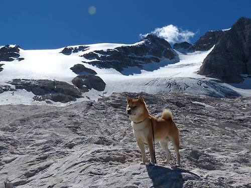 格鲁吉亚女篮在欧洲锦标赛中夺冠，开启新历史，格鲁吉亚篮球运动员