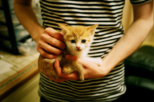 格鲁吉亚女篮在欧洲锦标赛中夺冠，开启新历史，格鲁吉亚篮球运动员