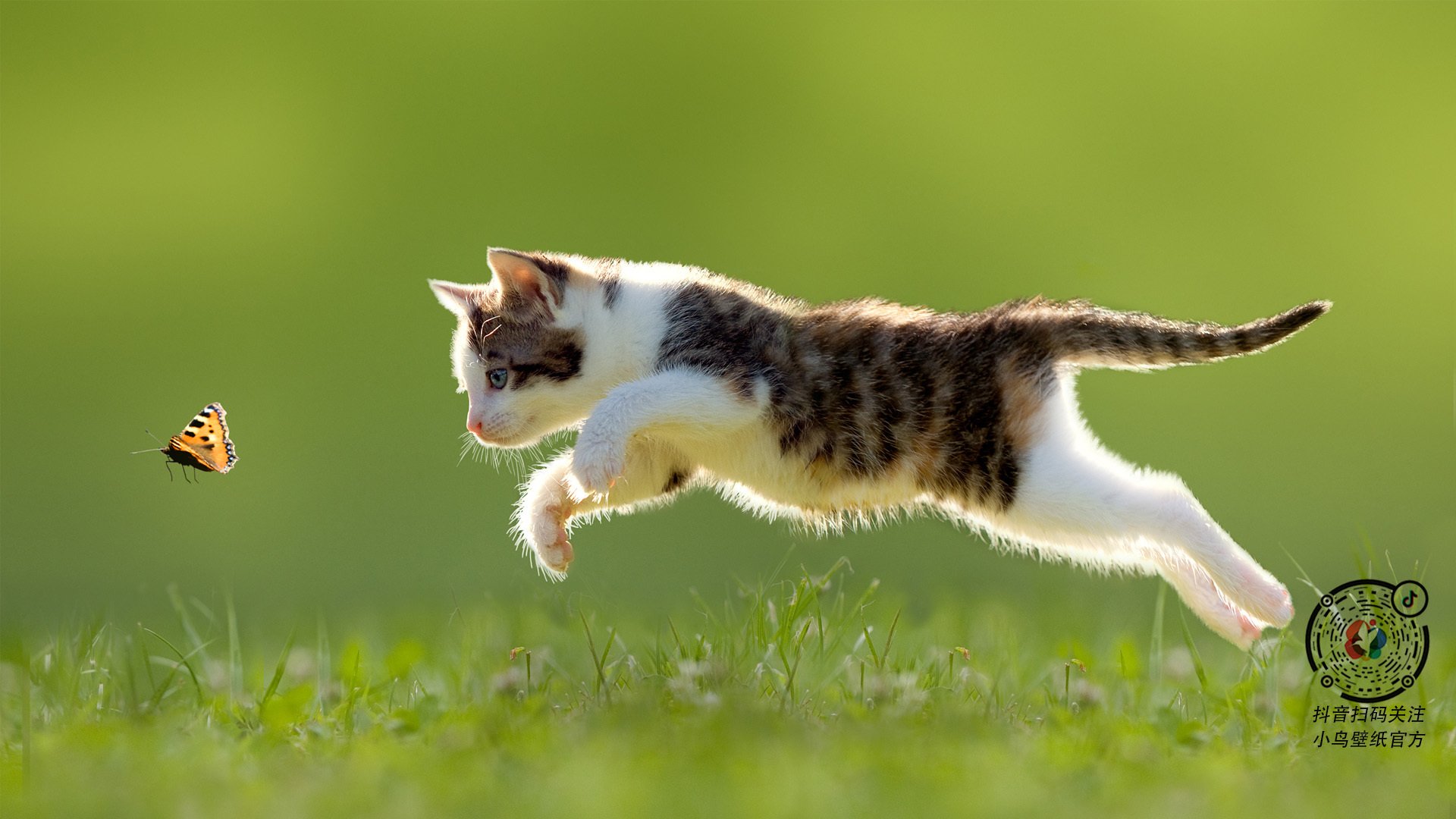 比利时男篮在欧洲预赛中拼搏到底,向奥运奖牌发起冲击,比利时男篮国家队