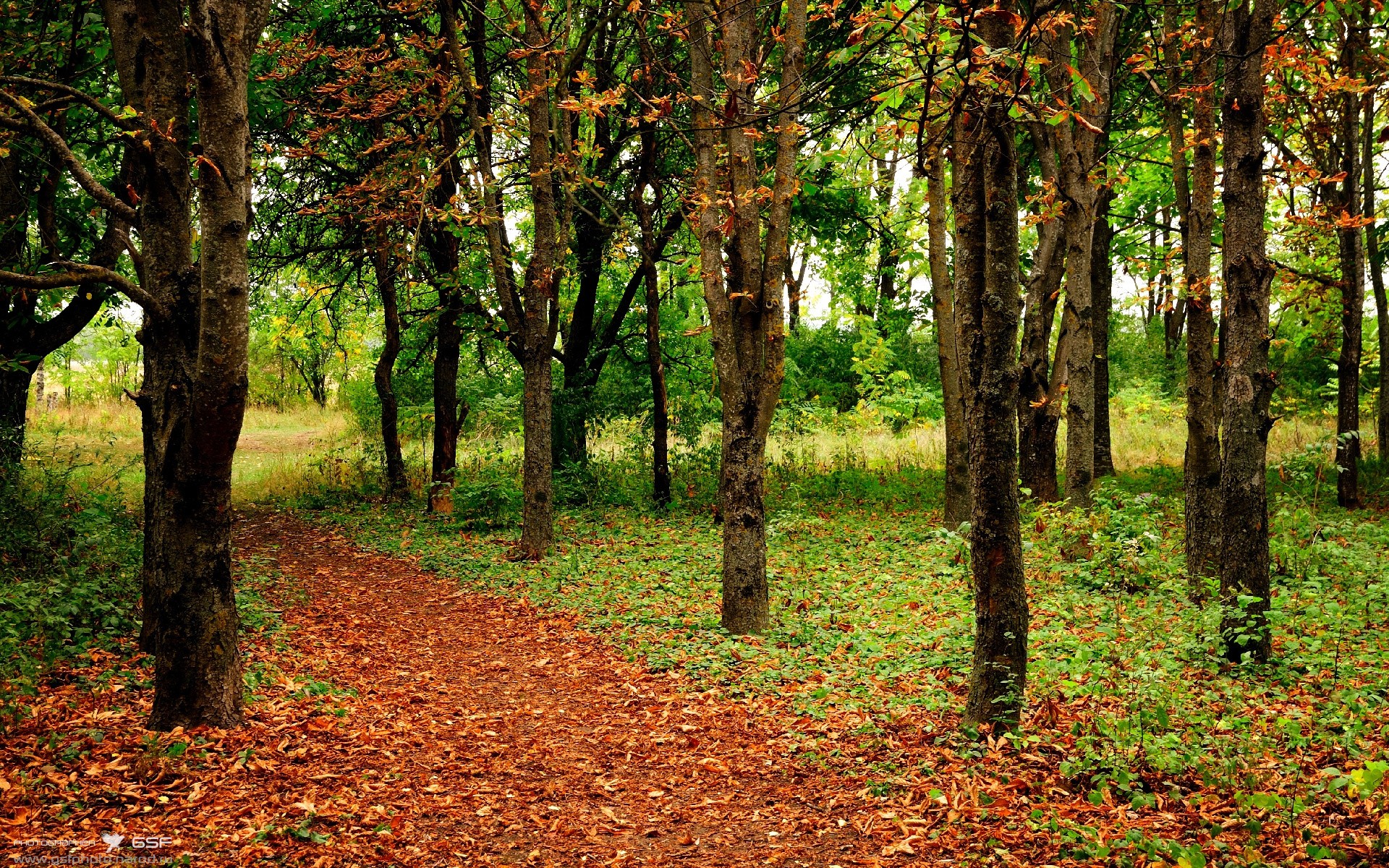 英超冲刺激烈:胜负悬念在最后一秒!,英超hull