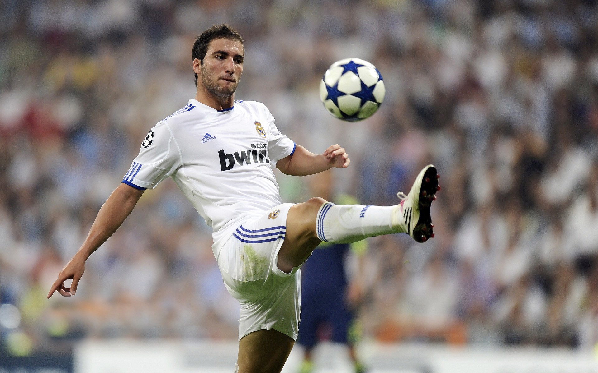 意大利媒体：伊朗足球，是冬奥最优雅的存在，伊朗足球知乎